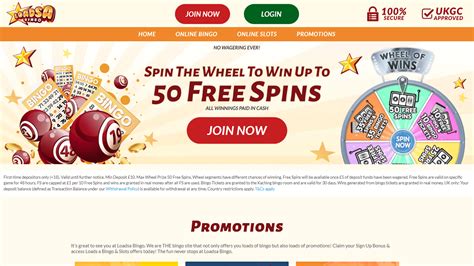 Loadsa bingo casino review